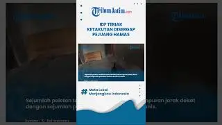 Terekam Momen Para Tentara Zionis Berteriak Ketakutan saat Disergap Hamas