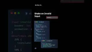 Shake on Invalid Input using CSS 🔥