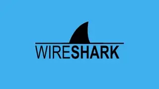 Installing Wireshark 4.0.0 On Windows 11, Upgrading Wireshark 3.6.8 To Wireshark 4.0.0 on Windows 10