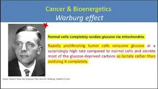 5. Cancer & energy metabolism - Biochemical Principles of Energy Metabolism