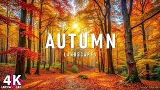 Autumn 4K Ultra HD • Stunning Footage, Scenic Relaxation Film With Calming Music