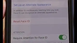 iPhone 11 Pro: How to Reset Face ID