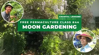 Free Permaculture Class #44 - Chantal Lemoine