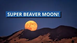 Super Beaver Moon November 15, 2024