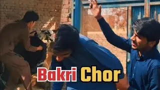 New vines Funny Videos 2024 comedy videos
