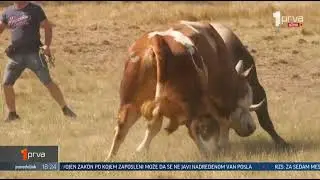 Prva TV - Vesti - Na Manjači završen još jedan Kočićev zbor