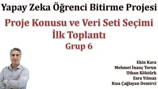 Yapay Zeka ile Bitirme Projesi:  Proje Konusu ve Veri Seti Seçimi | İlk Grup Toplantısı Örnek 6