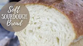 Soft Sourdough Bread For Beginners | How To Make Soft Sourdough Sandwich Bread