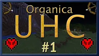 Первая игра - и уже везёт в шахте! || Organica UHC #1