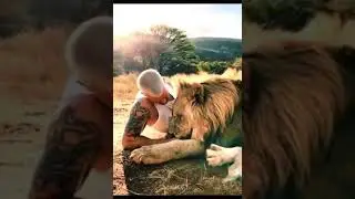 Lion as pet