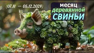 Ноябрь — что принесёт месяц деревянной свиньи в 2024? Прогноз энергий по Ба Цзы, Ци Мень и Феншуй