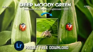 Deep  Moody Green Lightroom preset Free download | Lightroom Mobile Tutorial | DNG/XMP Free Download