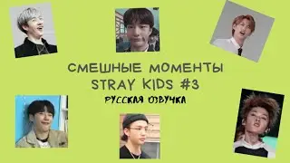 Смешные моменты Stray Kids [ОЗВУЧКА НА РУССКОМ ] #3