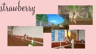 Jumping new horse | trail ride and little talking | Star stable RRP