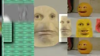 1569 scans vs scanvids