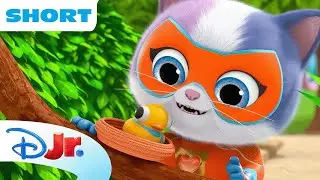 SuperKitties Su-Purr Adventures! | Buddy The Babysitter | @disneyjunior