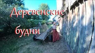 Окончание сенокоса, прогулка в лес и другие новости Лесного Хутора.