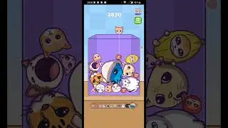 это был ОБМАн!😭😭😭