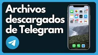 Cómo ver el archivo descargado de Telegram