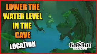 Genshin Impact: Lower the water level in the cave | Location