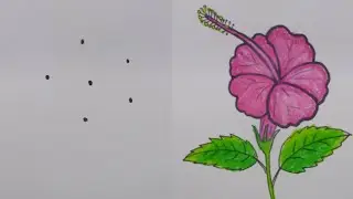 How to Draw Hibiscus Flower  easy