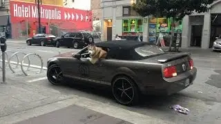 Лучшие Автоприколы 2014 нелепые ситуации на дорогах. Luchshie Avtoprikoly 2014