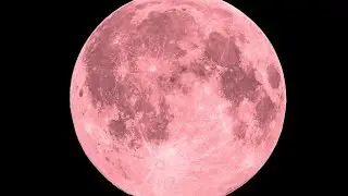 Live Pink Full Super moon April 2024