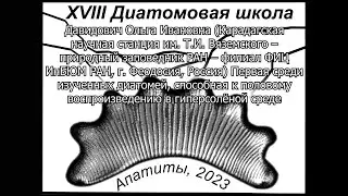 Первая среди изученных диатомей, способная к половому воспроизведению в гиперсолёной среде