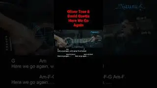 Oliver Tree & David Guetta - Here We Go Again Guitar Chords Lyrics