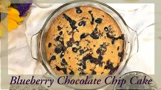 Blueberry Chocolate Chip Cake Recipe