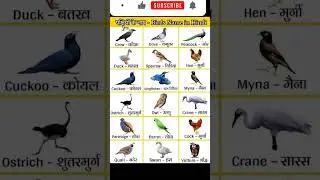 Birds, पक्षिओ के नाम, Name of Birds.