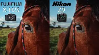 Fujifilm X-H2S VS Nikon Z9 | Camera Test | fuji wins!