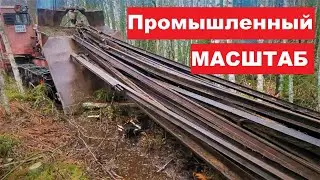 Я В ШОКЕ! КОП МЕТАЛА В ПРОМЫШЛЕННЫХ МАСШТАБАХ! Эти парни роют тоннами. 5 дней в карельских лесах!