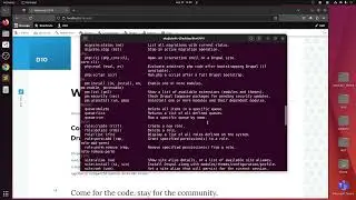 How to Install Drush on Ubuntu - drupal 10