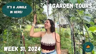 How will tropical storm Debby affect the garden? | Garden Tour WEEK 31, 2024