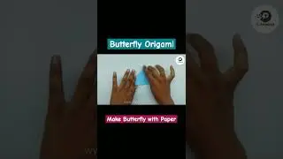 Origami butterfly Making 