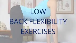 Low Back Flexibility Exercises