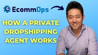 How a Private Dropshipping Agent Works | What we are, why you should work with one, and how WE work