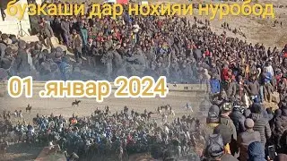 БУЗКАШАК ДА НОХИЯИ НУРОБОД 01.01.2024 одина човандоз