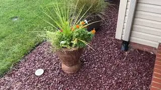 How my downspout diverter works.