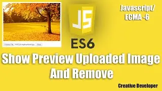 Show preview of upload Image and Remove || Javascript || Javascript Tutorial || Display image