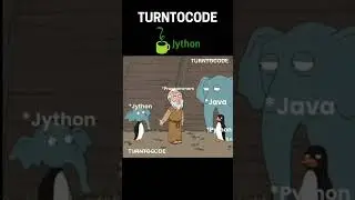 What name will you give it  #shortvideos #coding #viral #memes #coder #python #java #jython