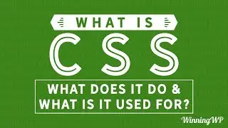 What is CSS? What Does it Do? And What is it Used For?