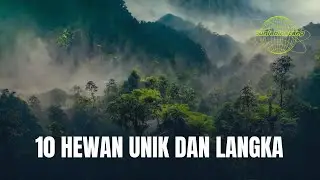 Apa saja hewan yang unik? hewan unik dan langka