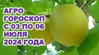 Агрогороскоп с 03 по 06 июля 2024 года Agrohoroscope from July 3 to July 6, 2024