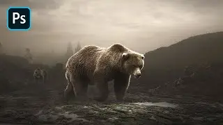 The Bear - Photoshop Tutorial Manipulation for Beginners