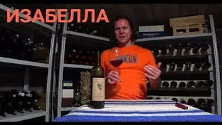 Вино Изабелла красное сухое. Изабелла гаражное вино Темрюк. Микровиноделие. Винодельня на Садах.