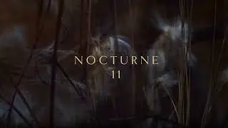 Craig Armstrong | Nocturne 11 (Official Video)