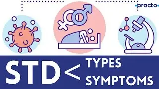 Sexually Transmitted Diseases (STD) Symptoms | Types Of STDs ( Herpes, Syphilis, HPV, Chlamydia)