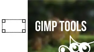 GIMP | Transform Tool Common Options